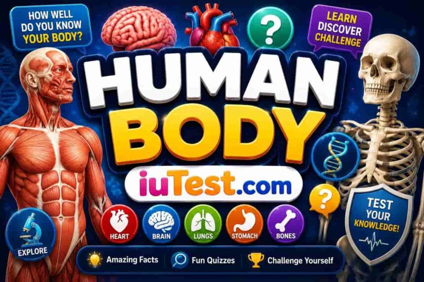 Human Body Quiz - 50 Questions to Test Your Anatomy Knowledge